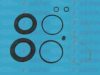 AUTOFREN SEINSA D4020 Repair Kit, brake caliper